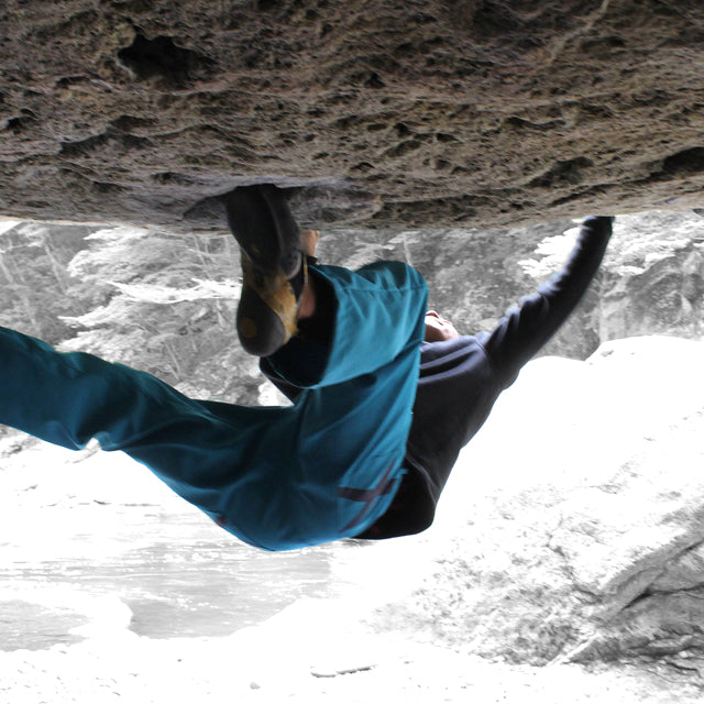 iggy pants ICON BLACK