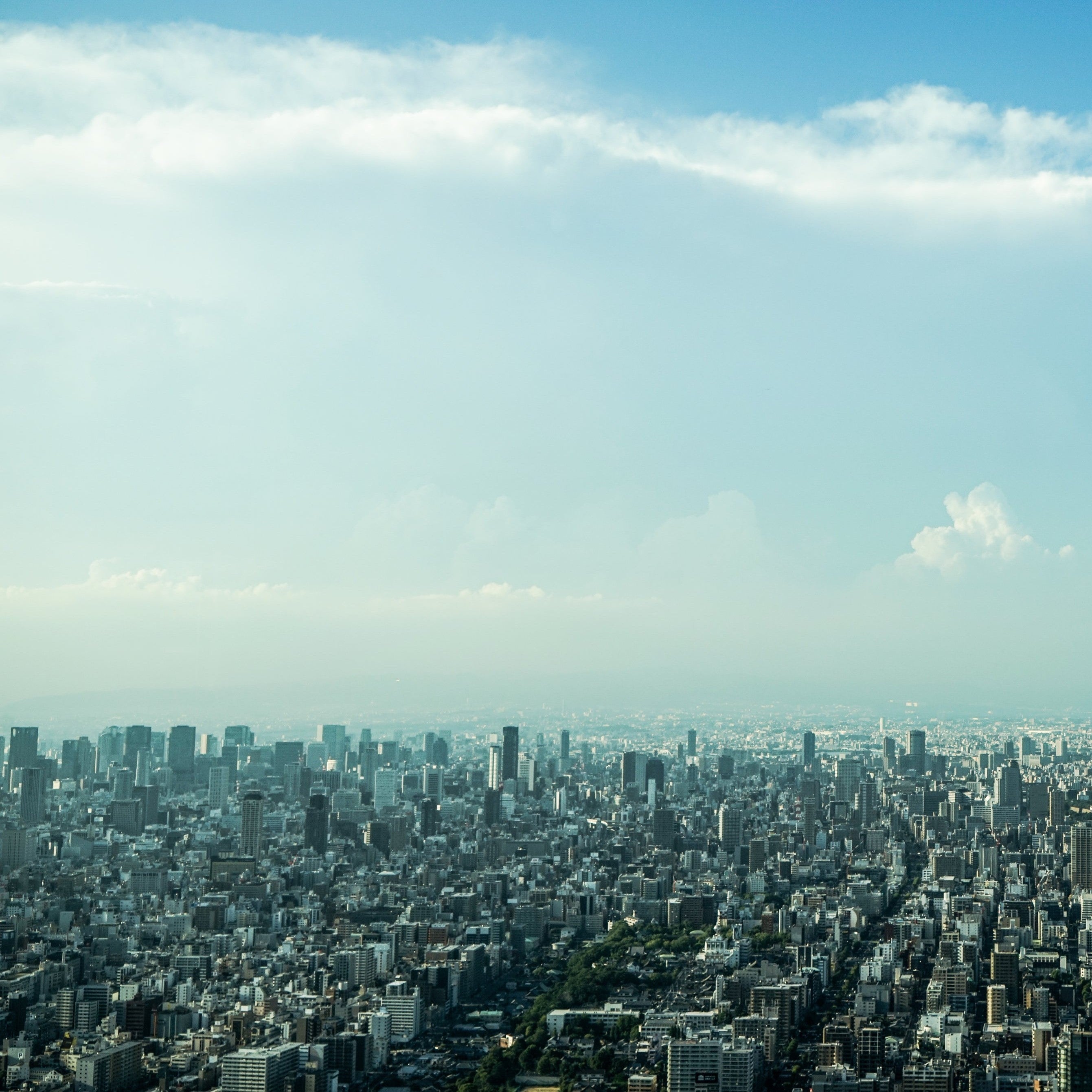 Tokyo's Best Bouldering Gyms: A Complete Guide for Visiting Climbers